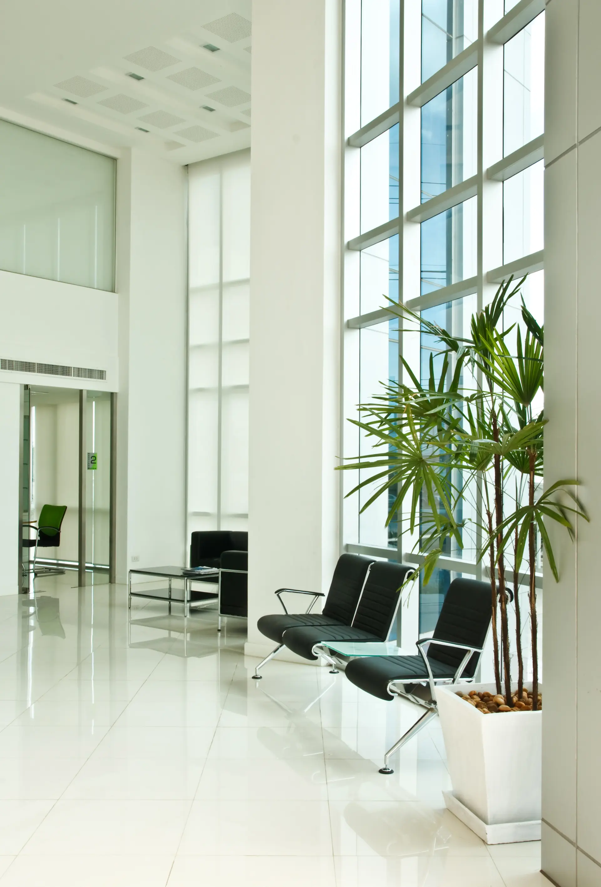 Local comercial con paredes pintadas de color blanco Local comercial con paredes pintadas de color blanco